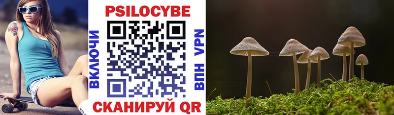 KRAKEN   Анива  Галлюциногенные грибы мухоморы 